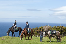 Portugal-Azores-Faial Island Trail